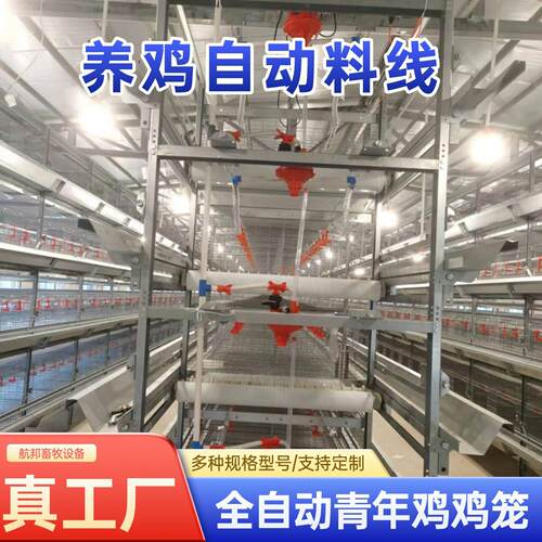 青年鸡笼厂家定制层叠式全自动框架养鸡笼镀锌立式自动化养殖设备