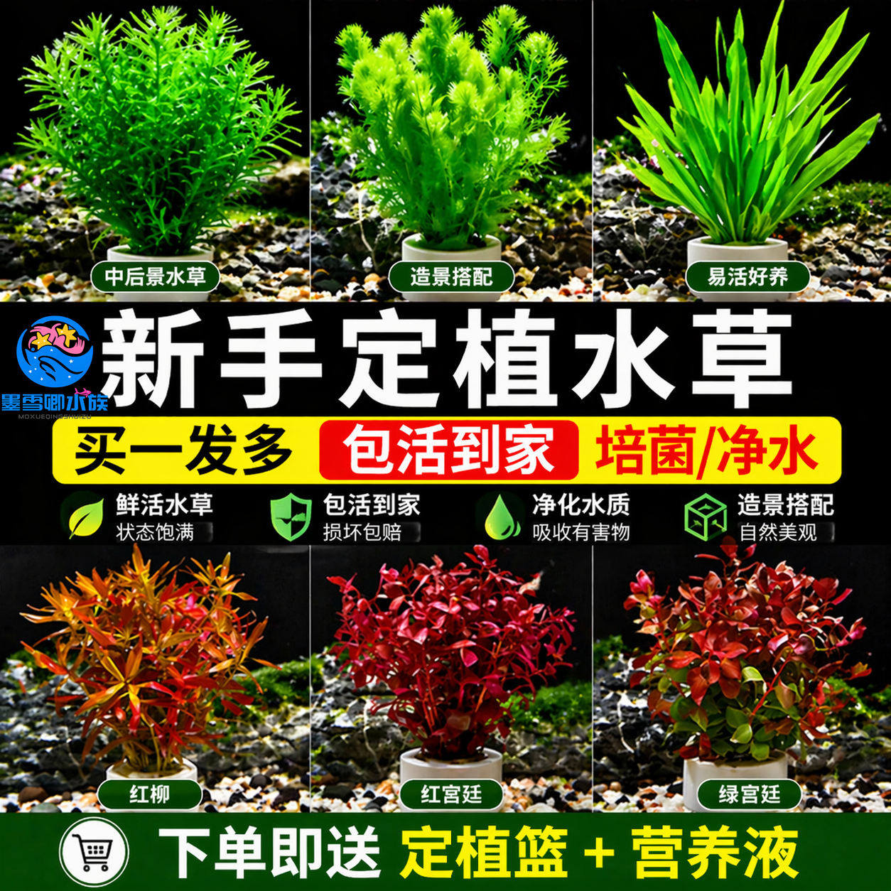 水草植物专用鱼缸造景摆件水培植物蜈蚣增氧火山石全套小鱼缸水草