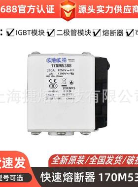 170M5388170M5398快速熔断器保险丝电子元器件量大价优