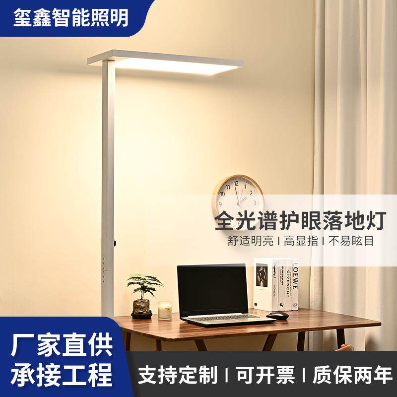 落地台灯全光谱护眼大路灯书台灯学生写字学习专用儿童书桌阅读灯