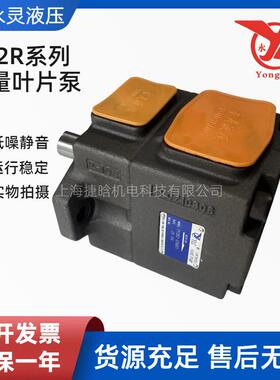 永灵YLC高压叶片泵PV2R1液压油泵pv2r2定量液压泵总成配件pv2r3