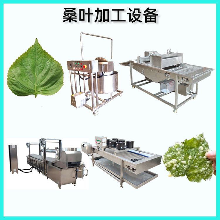 全自动紫苏叶天妇罗油炸流水线