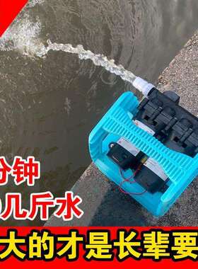 充电式大流量水泵浇菜农用灌溉家用自吸泵12v21v大功率抽水机其他
