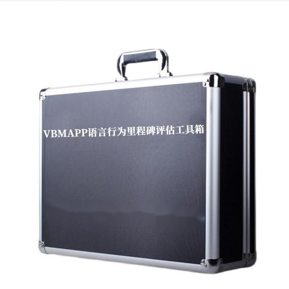 VB-MAPP语言行为评估工具