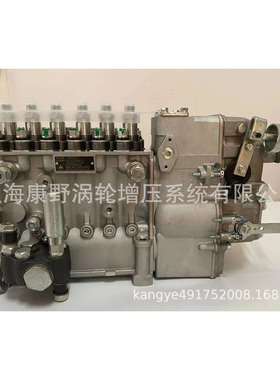 原装喷油泵1002574B6P460B和B6P462B和B4PN411F1E和B6HD1845