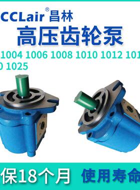 CBK1004高压1006齿轮泵1008-1010-1012-1016-1020-1025-A1FL-B1FL