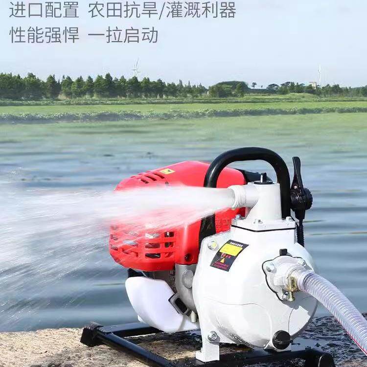 德国凌荫四冲程汽油机抽水泵农用灌溉抽水机菜园浇水家用自吸省油
