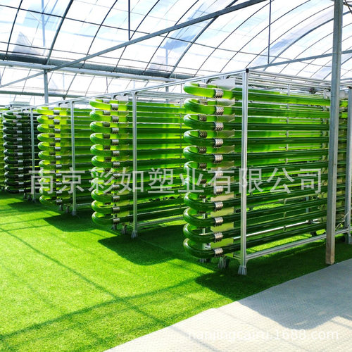 有机玻璃管道式二级藻类培养光合反应器小球藻容积500 800L成套