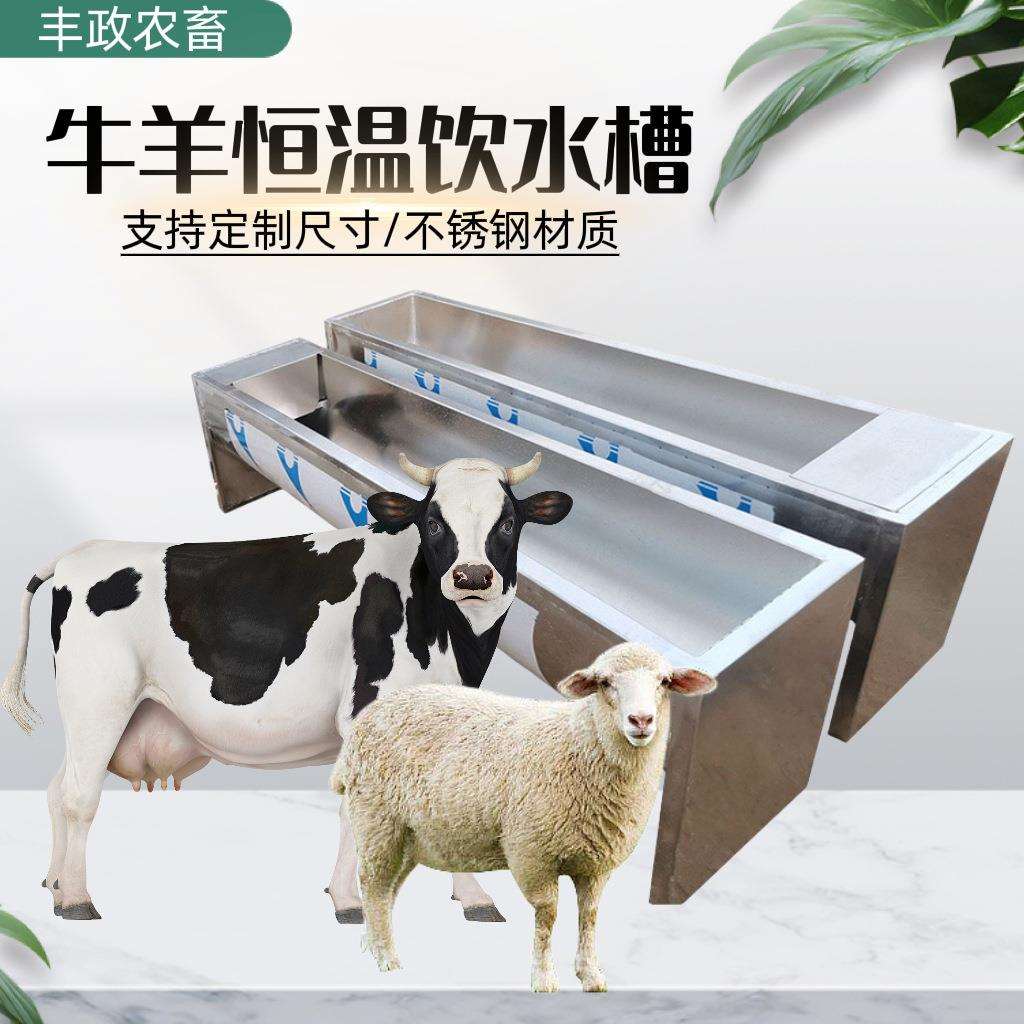 牛羊用不锈钢恒温饮水槽冬季自动上水控温恒温牛羊饮水养殖设备