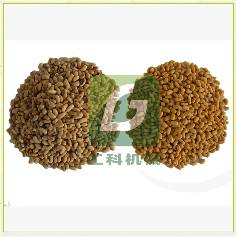 工科机械大豆脱皮设备 小型大豆去皮机 脱皮一遍净