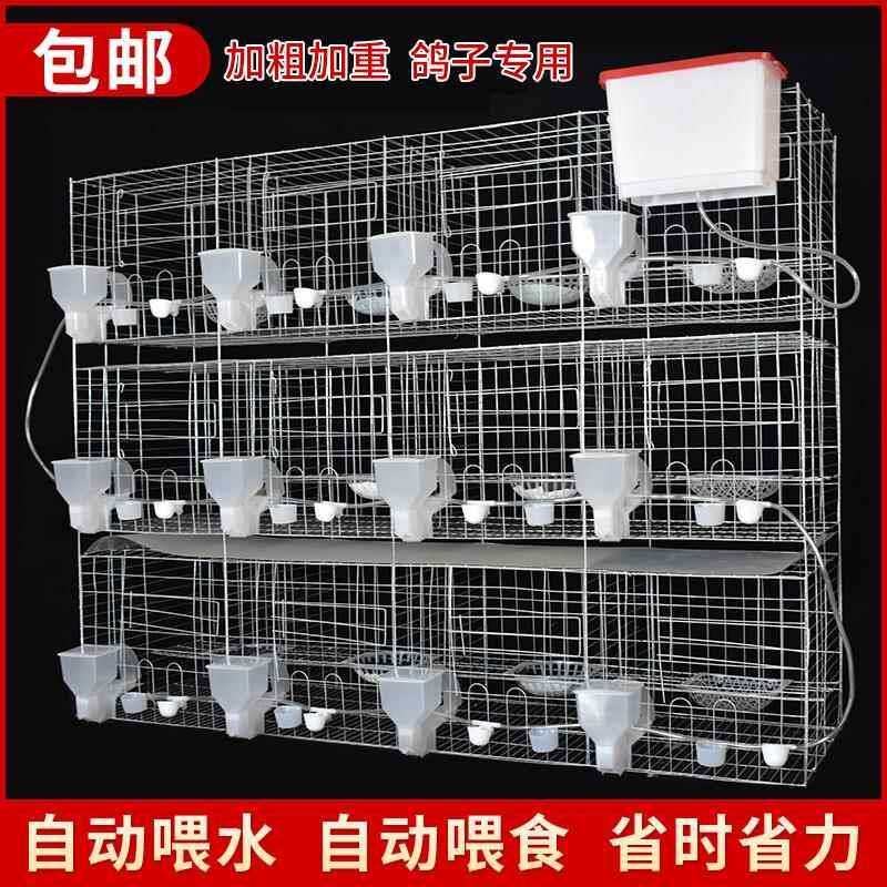 鸽子笼信鸽养殖笼家用大型繁殖鸽笼阳台大号12位肉鸽配对笼子鸽舍