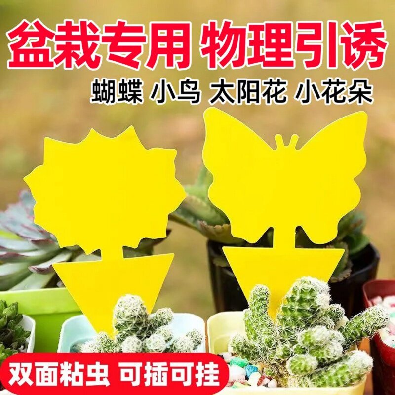 双面粘虫板黄板诱虫纸贴黄色