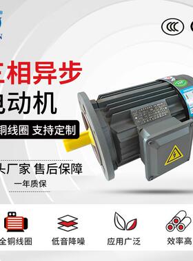 YE3-100L1/L2-4极三相异步电动机2.2/3W工业电机烟熏炉用马达