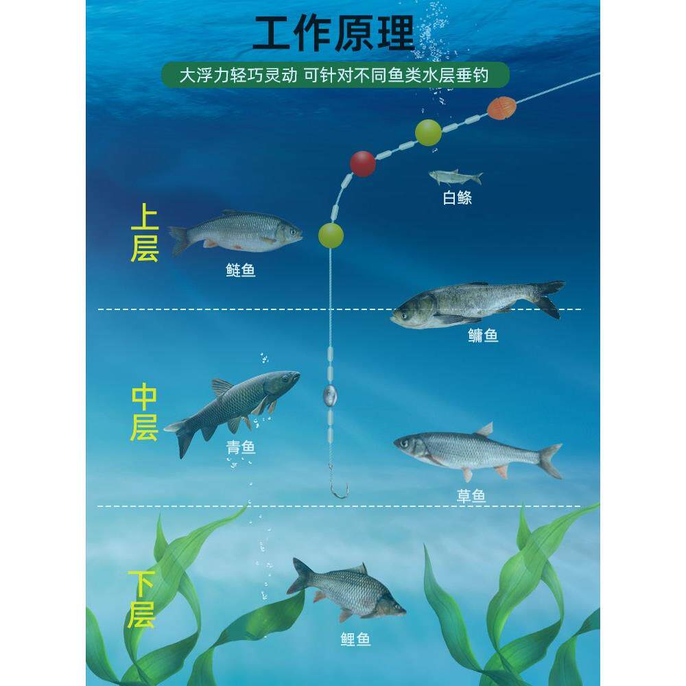 浮钓草鱼鲢鳙大物线组夜光漂浮球抛竿圆球形漂钓组9编大力马pe线