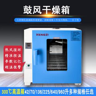 跃进牌鼓风干燥箱HGZF-II/H-101-2强制对流热风循环干燥烘箱