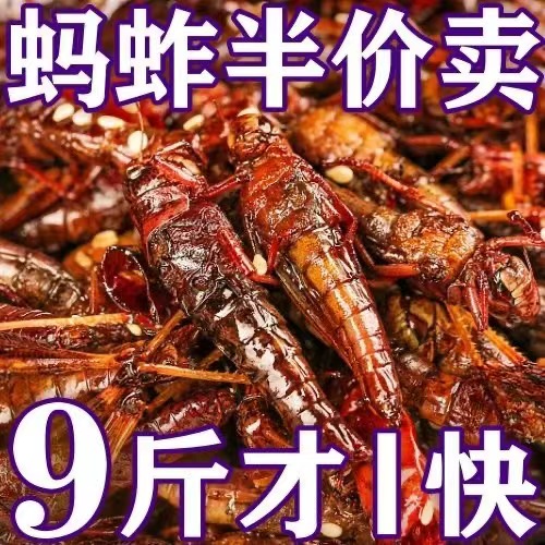 新鲜油炸蚂蚱即食零食带翅膀蝗虫麻辣椒盐小吃美食蚂蚱药食同源
