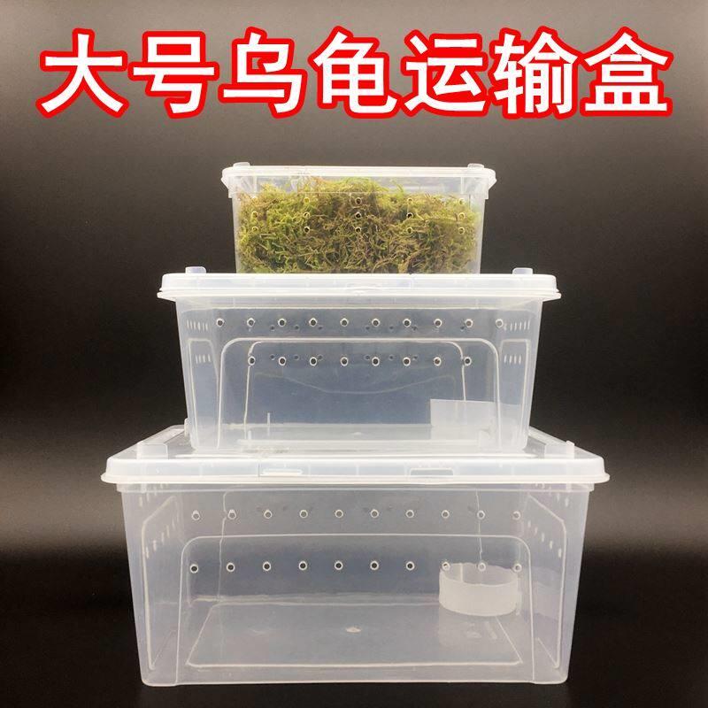干苔藓乌龟运输盒宠物爬虫饲养盒打包发货垫材乌龟快递盒青苔水苔图片