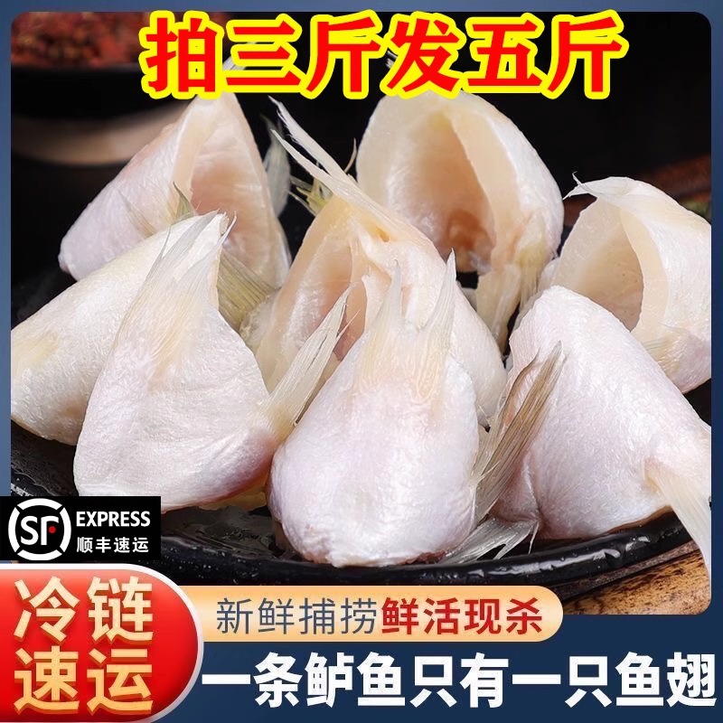 鲈鱼翅 新鲜海鲈鱼下巴鲈鱼鳍翅莳藓冷冻鱼腩肉鱼腹鳍拍3斤送2斤