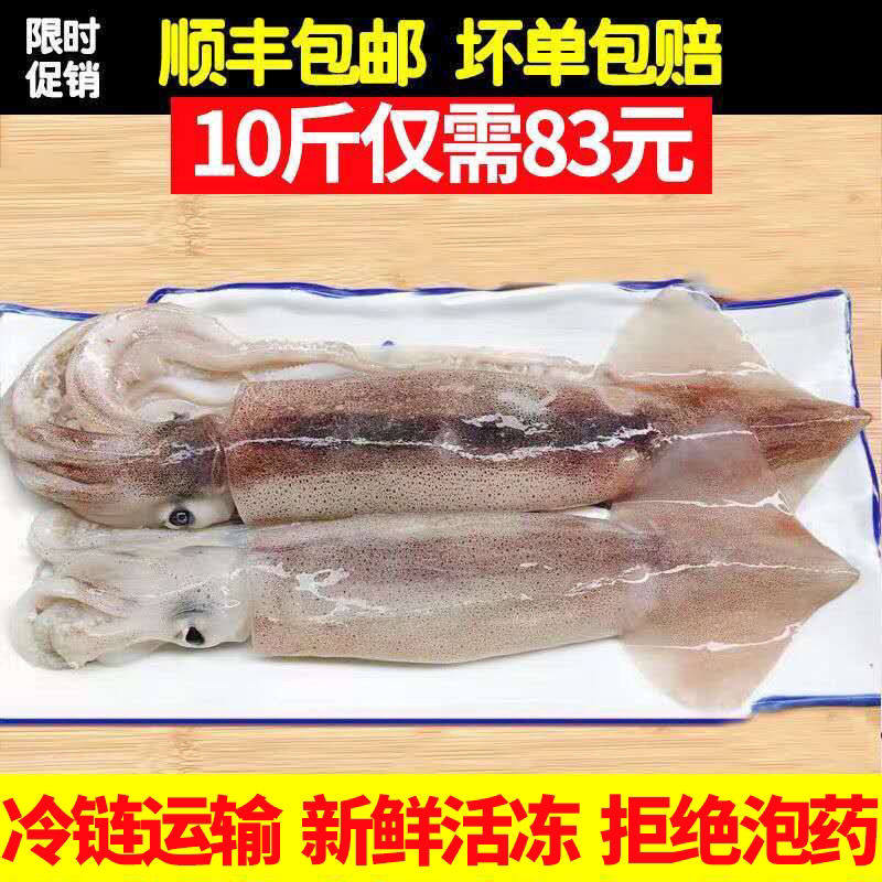 新鲜大鱿鱼整只鱿鱼鱿鱼头鱿鱼须大章鱼冷冻鱿鱼烧烤火锅食材乌贼