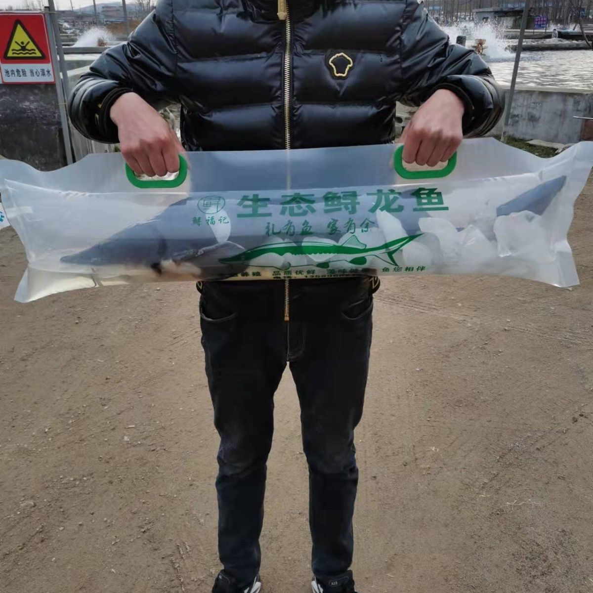 2025顺丰特大号氧气发货活的鲟鳇鲜活活体食用鲟龙鱼淡水鱼新鲜鱼
