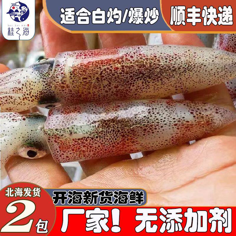 北海鱿鱼新鲜鲜活笔管鱿活冻深海大鱿鱼爆炒烧烤广西小海鲜海兔