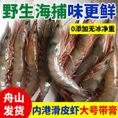舟山青壳滑皮虾一整箱剑虾海捕新鲜大虾野生鲜活冷冻海虾条虾海虾