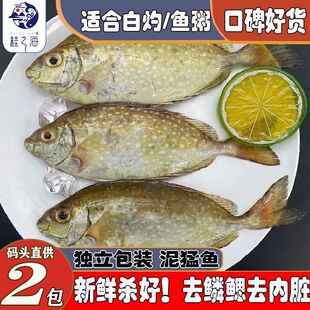 北海泥猛鱼冰鲜深海鱼去鳃鳃去内脏冷冻新鲜花泥猛鱼柠檬鱼泥孟鱼