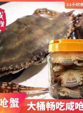 咸炝蟹 呛蟹 梭子蟹 三眼蟹腌螃蟹腌白蟹小娘蟹宁波特产即食海鲜