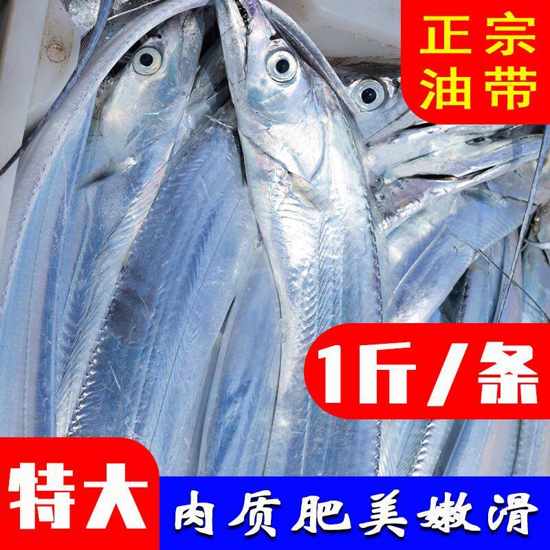 真钓带新鲜正宗刀鱼特大带鱼整条新鲜海钓刀鱼海鲜冷冻水产整箱