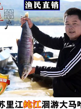 黑龙江特产大马哈鱼整条冷冻