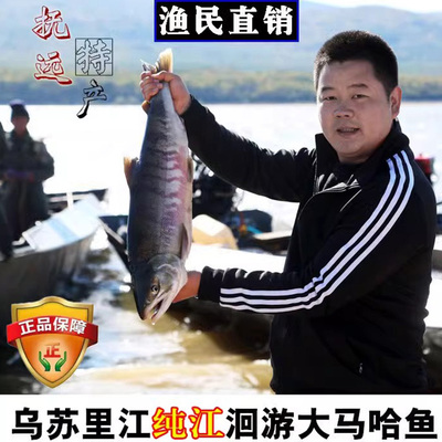 黑龙江特产大马哈鱼整条冷冻