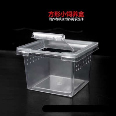蜘蛛螳螂幼体透明饲养盒蚕昆虫蝎子爬虫爬宠苗子小方盒树栖盒子
