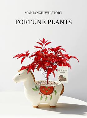 马上发财马年红叶植物小马造型绿植招财摆件马年伴手礼