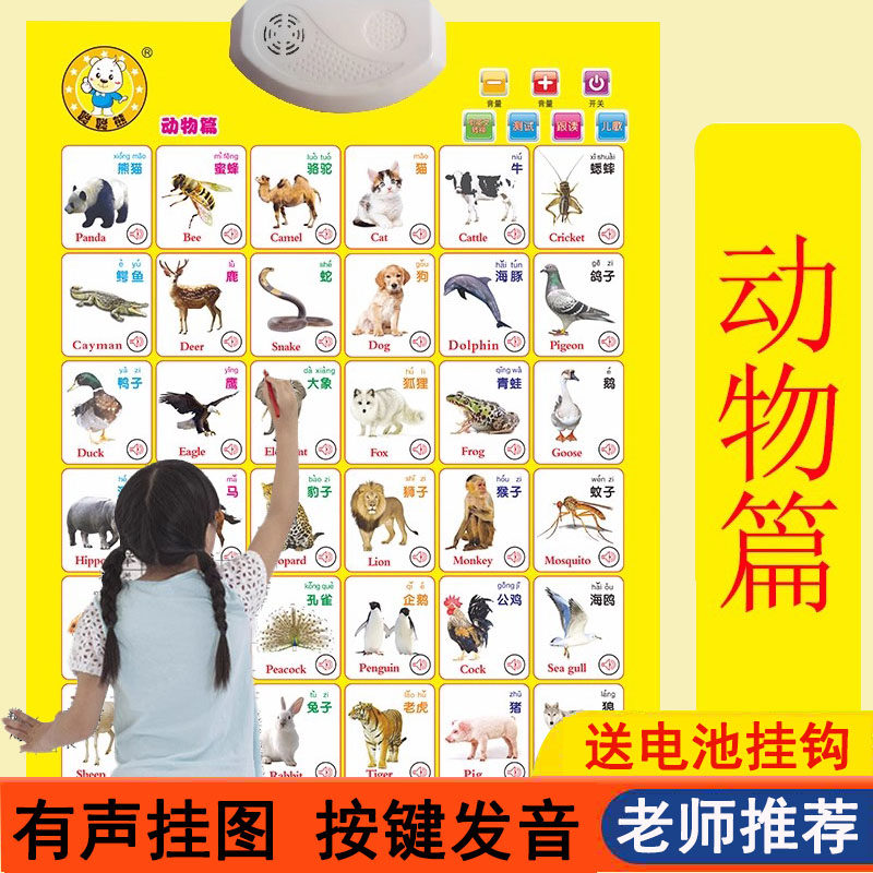 宝宝有声挂图儿童早教认知