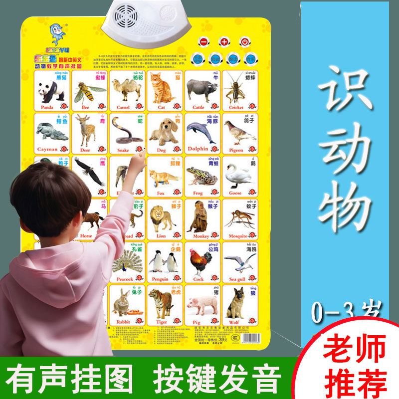 人物儿童有声挂图宝宝认识动物水果蔬菜书挂图发音3d图片读物识别