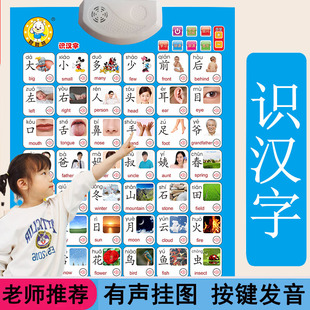 学前幼小衔接看图识字表有声挂图幼儿童一年级认字卡看图表知早教