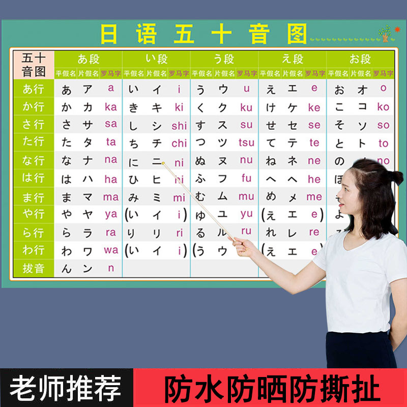 日语初学五十音图海报挂图