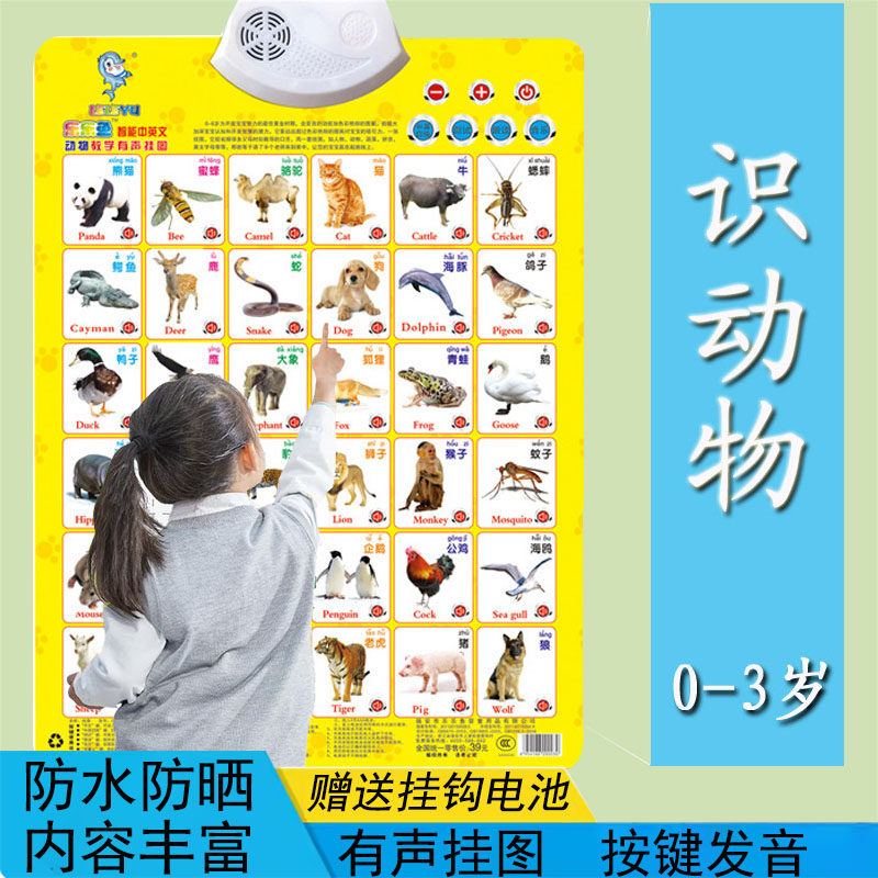宝宝认知启蒙有声挂图儿