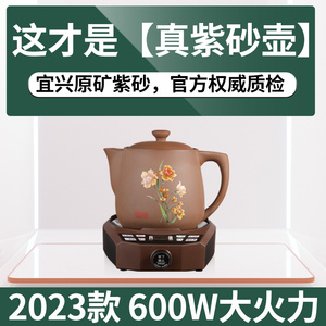 【医院合作】竹水溪600w中药电煎壶全自动熬药煲养生罐新型中药机