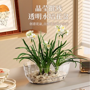 亚克力花瓶水培植物花盆桌面办公室水仙花铜钱草睡莲耐摔花盆PET