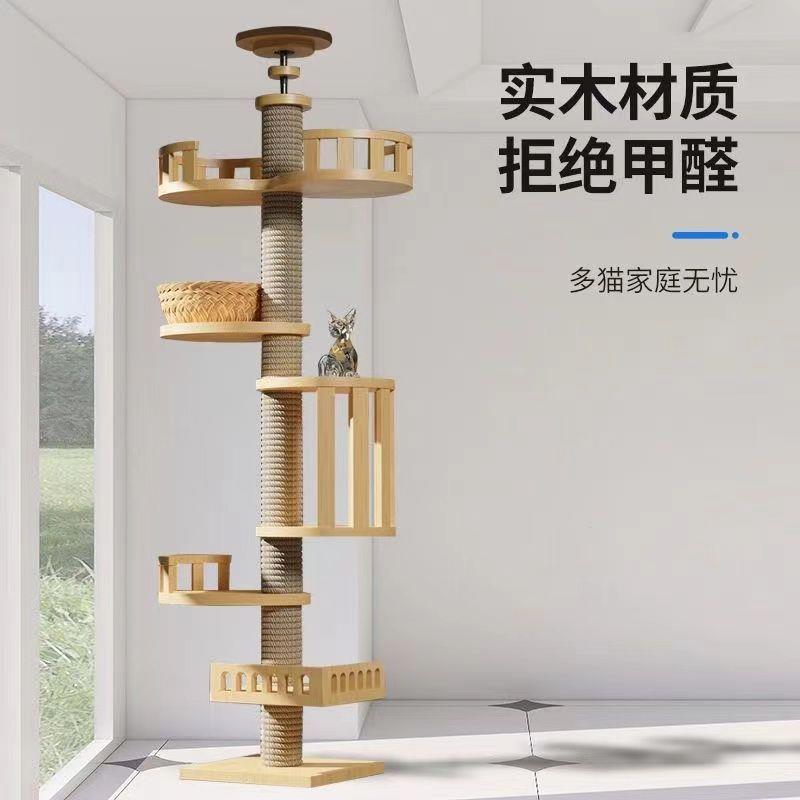 实木太空舱通天柱猫树一图片
