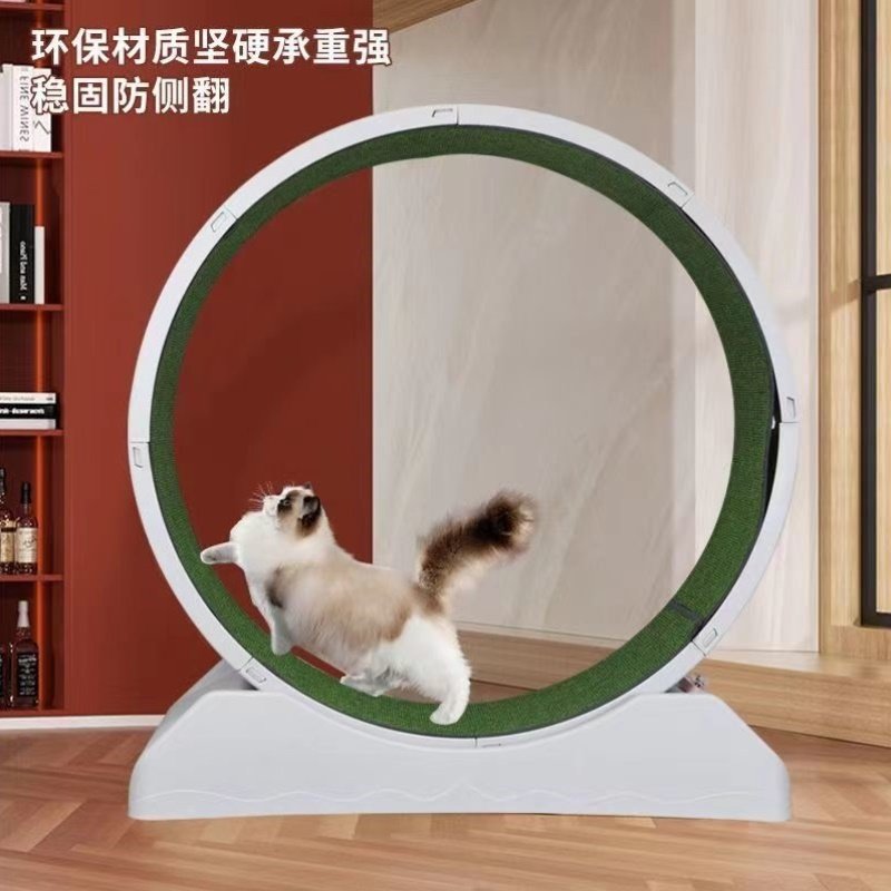 圆形猫咪跑步塑料大号特价猫爬架新款环保滚轮猫咪减肥运动器材
