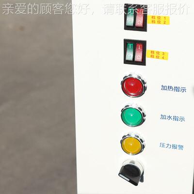 立浦能48KW电加热蒸汽生器 全自发动锅炉LDR  蒸汽发生热器