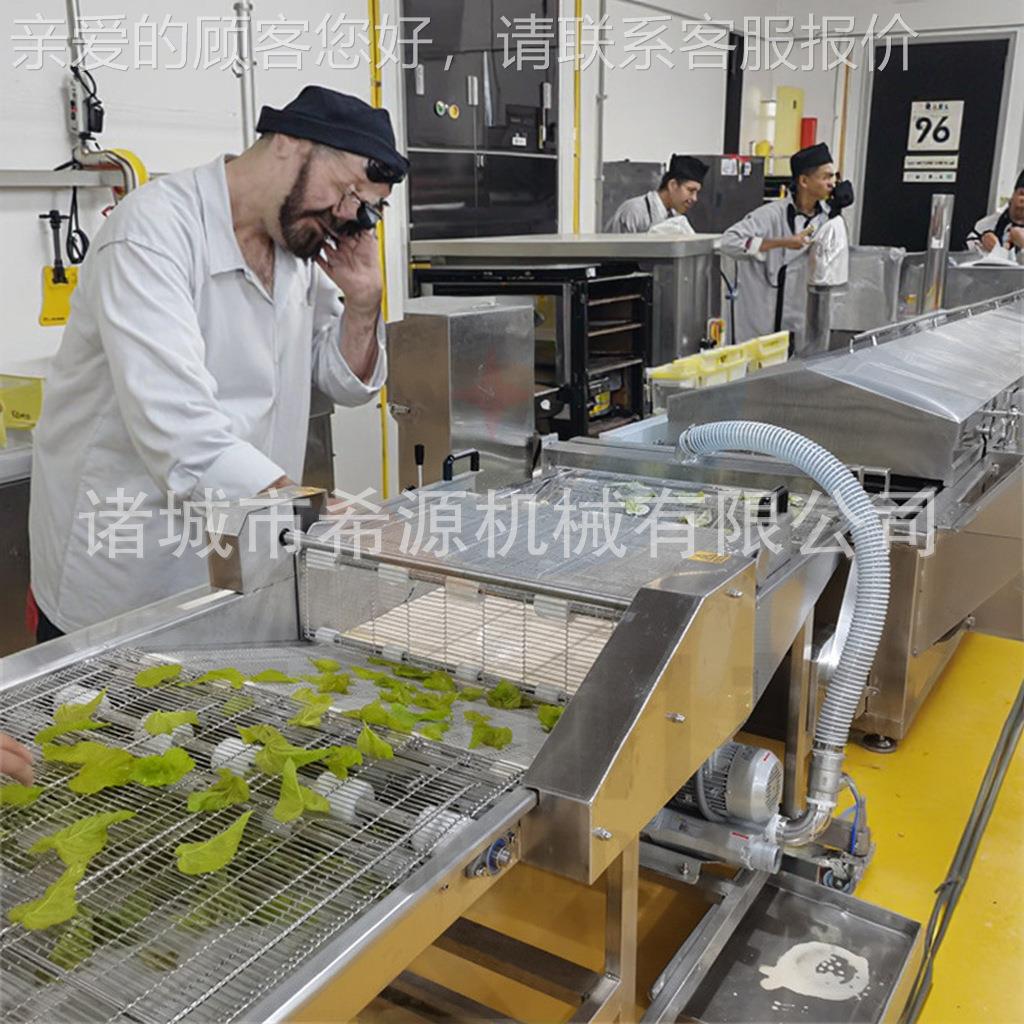 自动上 粉淋浆机 小鱼裹粉DRU黄设备茄盒藕全合淋浆机器