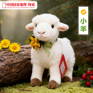 中国国家地理白羊白鼬儿童毛绒玩偶仿真动物公仔惊喜生日礼物