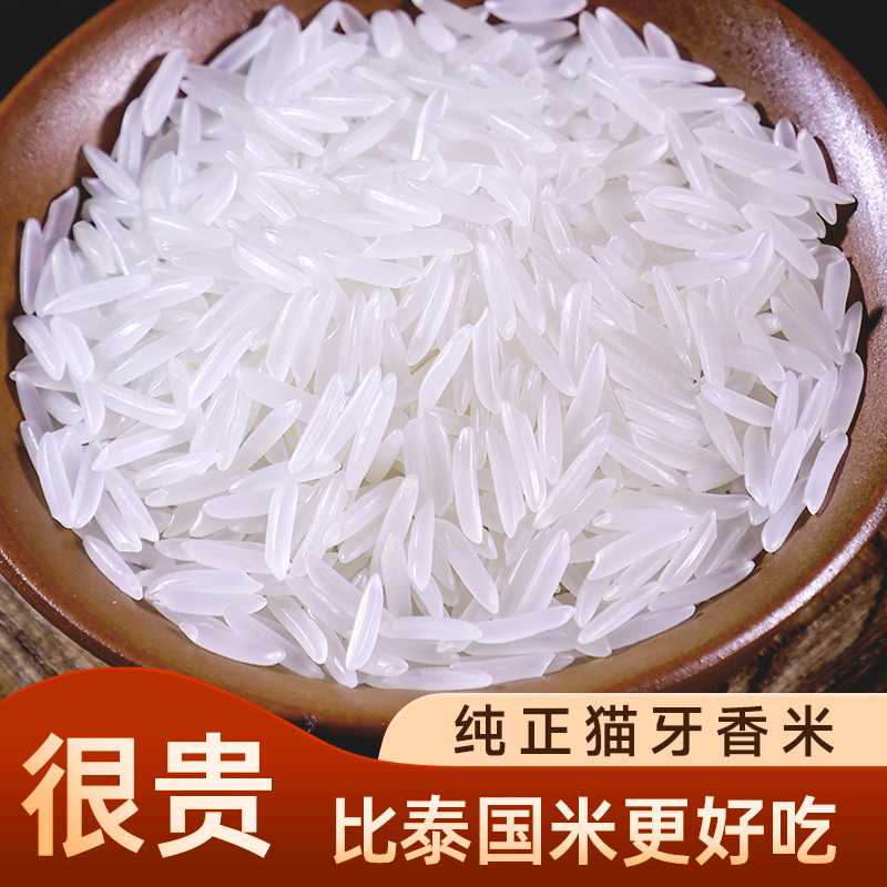 猫牙米超长粒大米当季新米