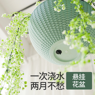 阳台吊兰2021塑料绿萝垂吊懒人自动吸水吊篮悬挂吊挂式 花盆吊盆