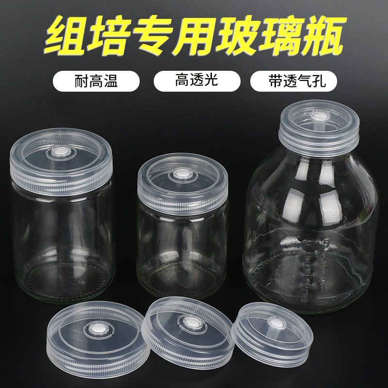组培瓶耐高温食用菌种玻