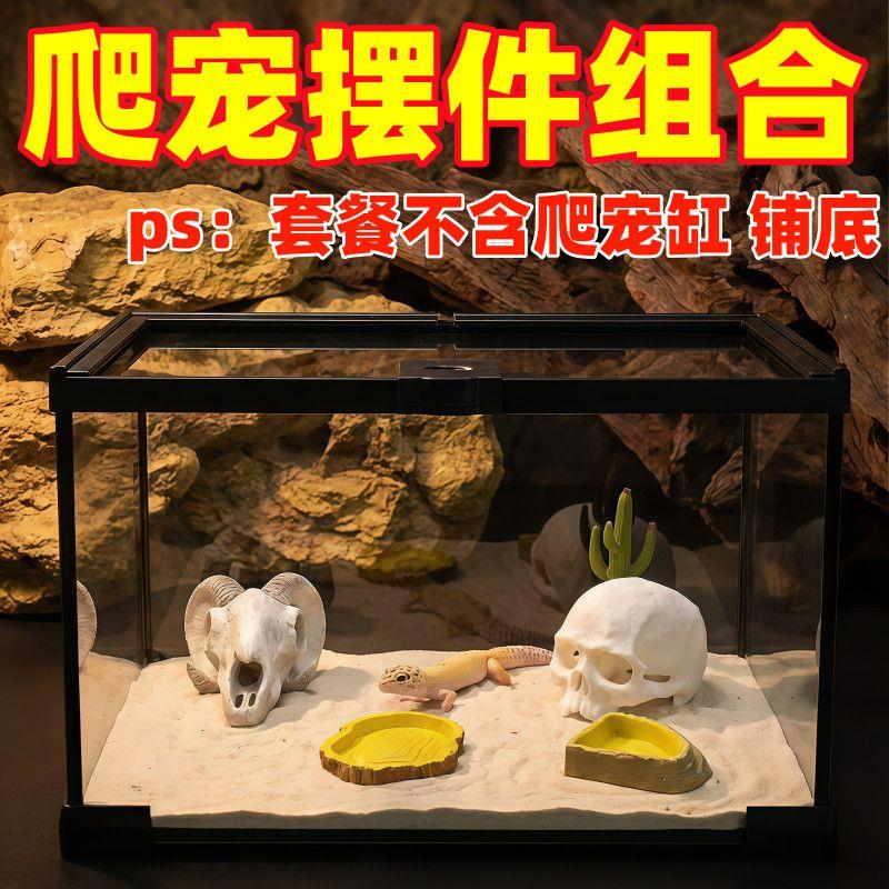 爬虫箱造景装饰蜥蜴蛇蜘