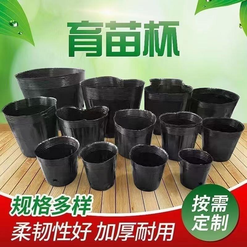 槟榔营养钵加厚育苗盆塑